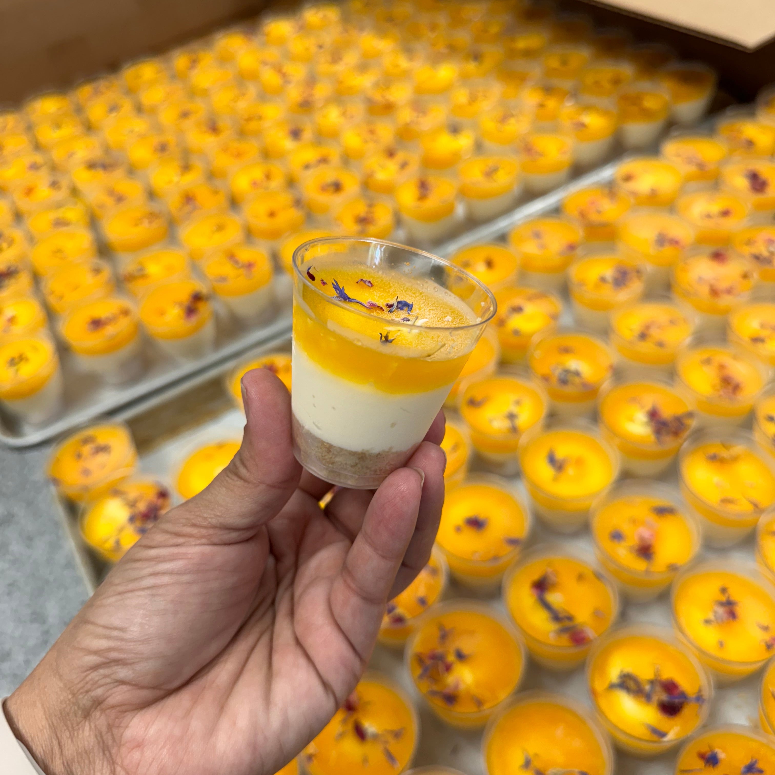 Mango Cheesecake Shots